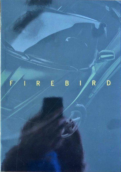 Pontiac Firebird nr. DU 20 10 06 37, midden jaren 90 A4, 22, NL year midden jaren 90 folder brochure